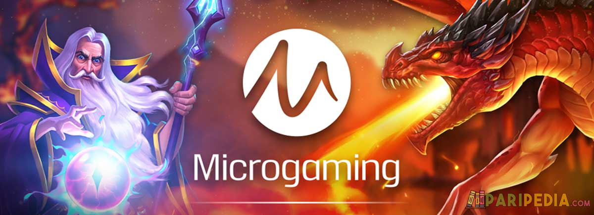 microgaming software